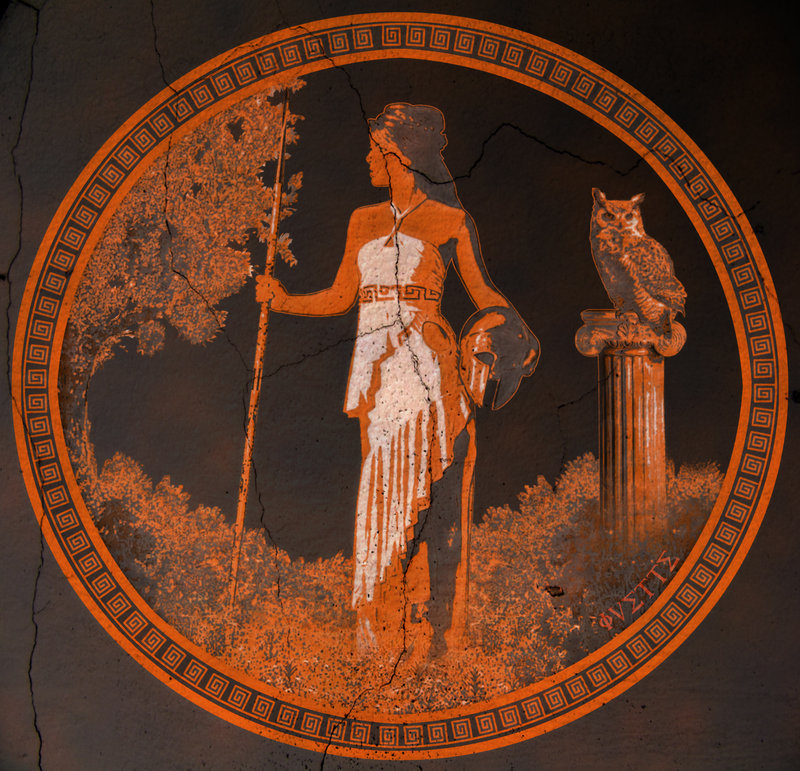 Athenas Symbol Olive Tree Athenas Symbol Olive Tree