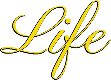 light logo